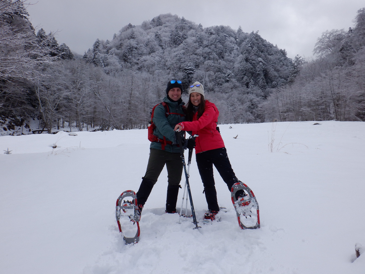 i̐ጴňXɐ[܂邱Ƃł傤