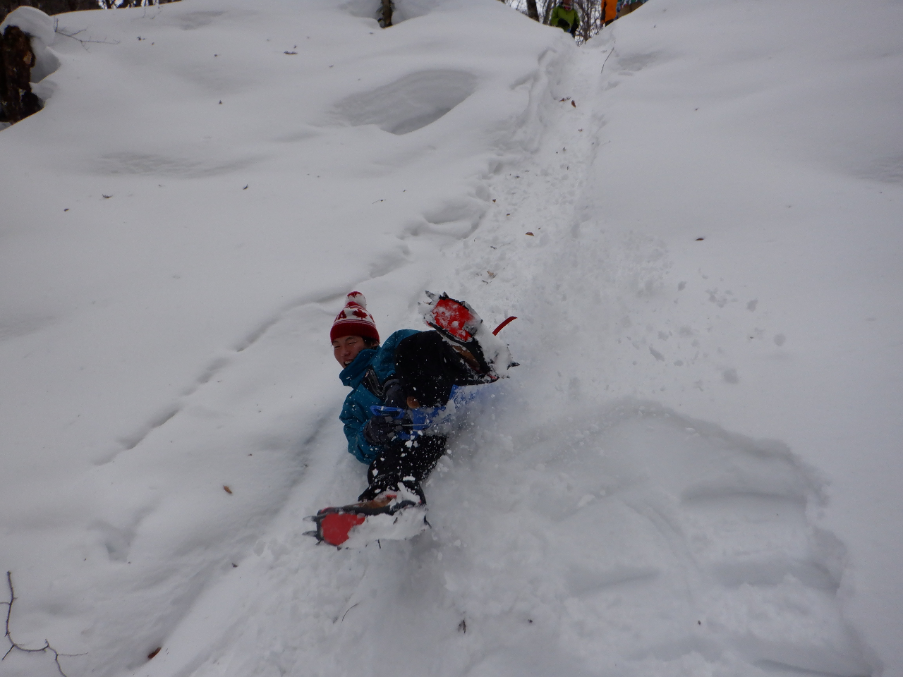 �V�R�̐�̊����