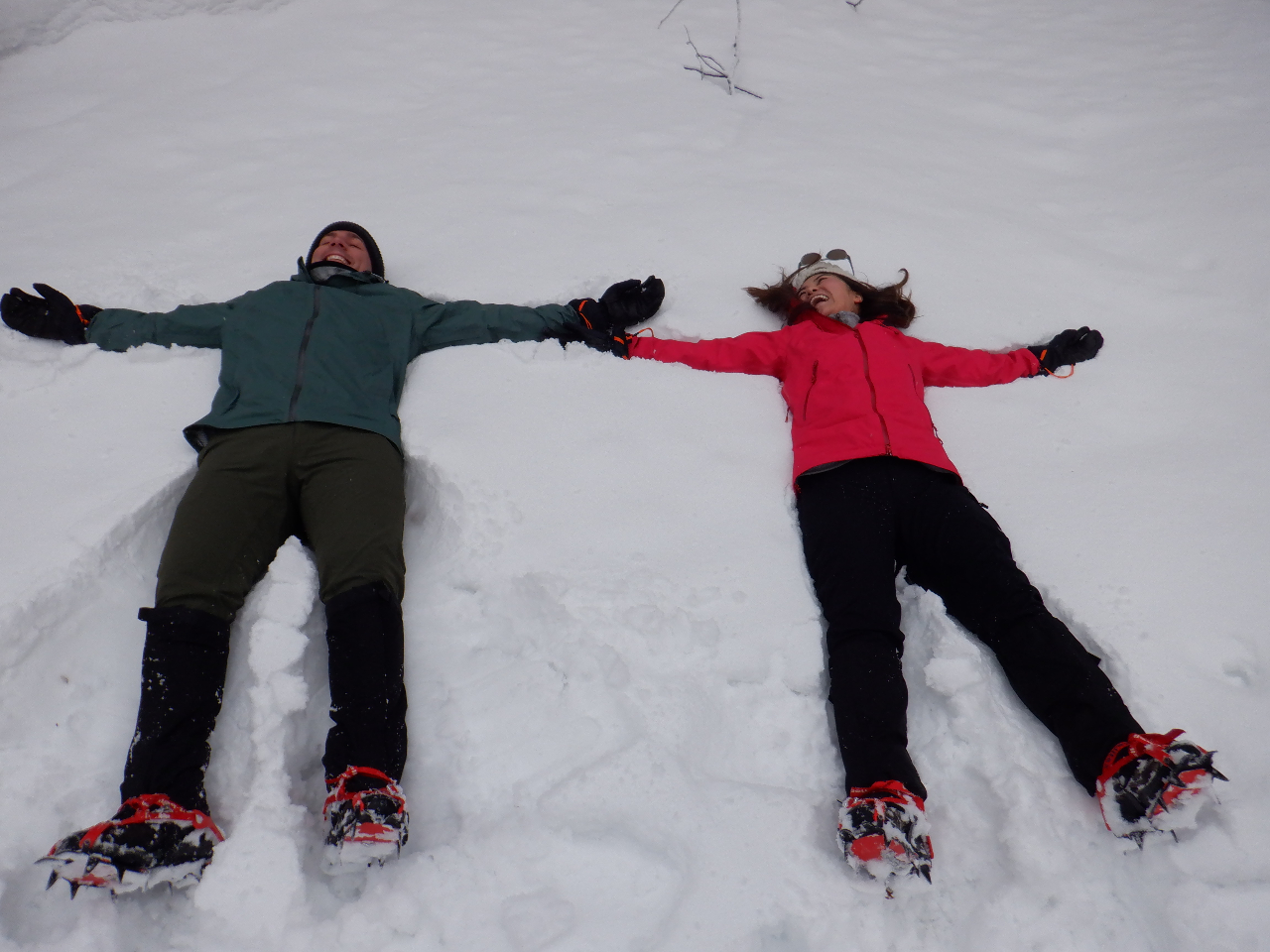 �[��ɓ|��Ă�����������܂���B�v���؂�Q���ׂ��Ă݂܂��傤