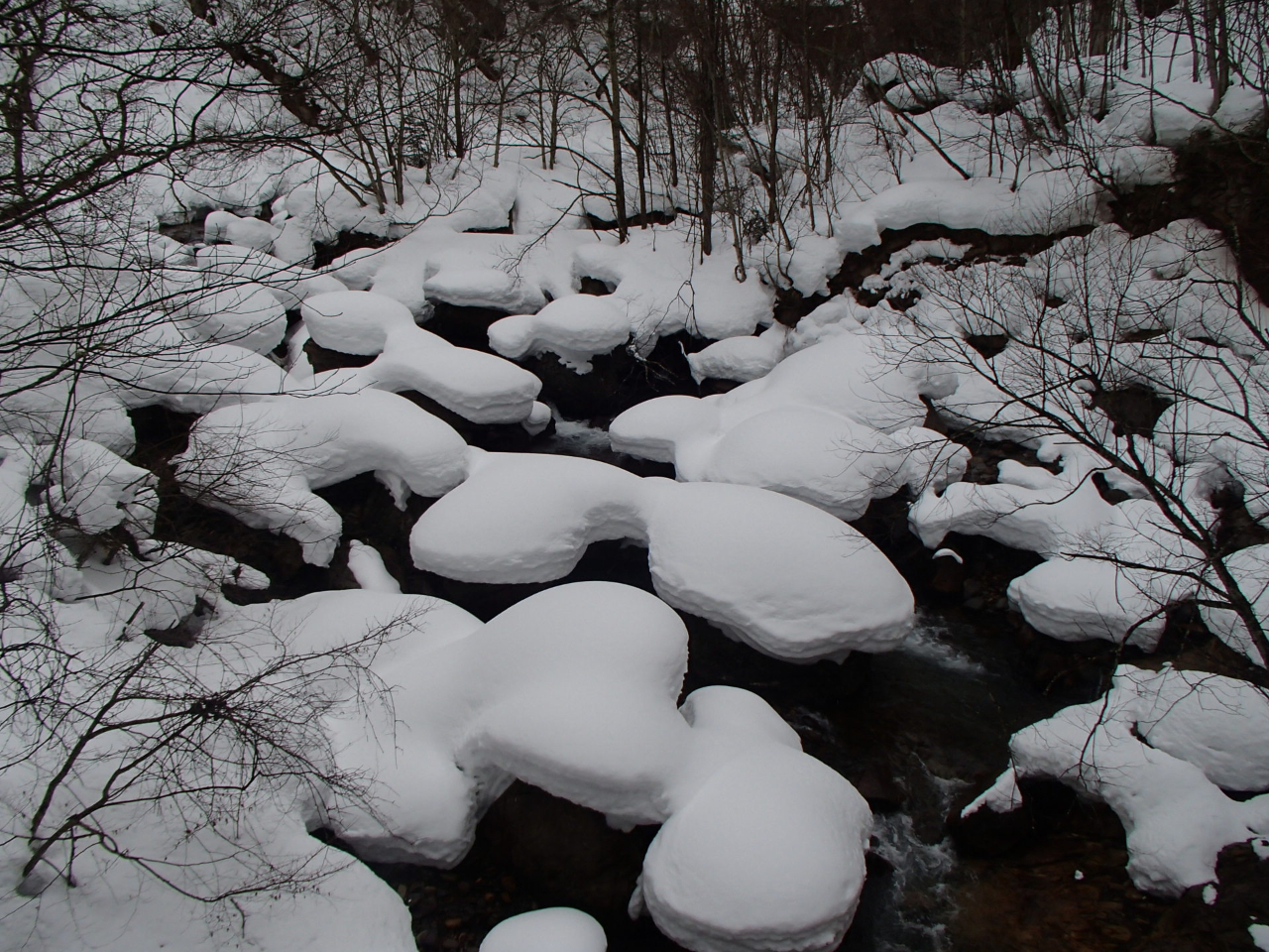 �S�{�쌹���̋���̏�ɐႪ�ς���܂��B���R�̌|�p��i�ł�