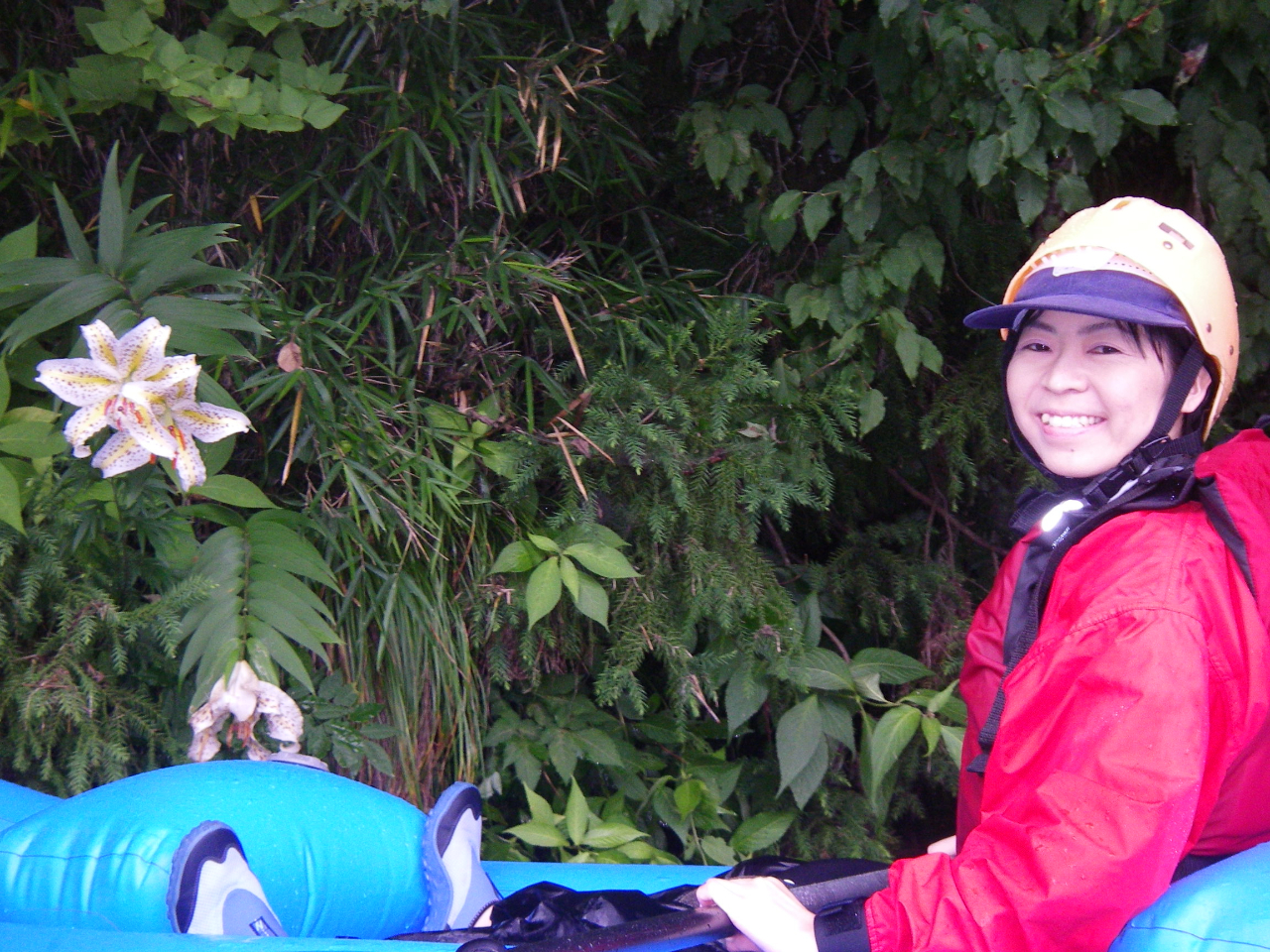季節ごとに変わる景色や動植物も楽しめます。写真は初夏のヤマユリ、渓谷沿いに咲き乱れヤマユリの香りが漂います