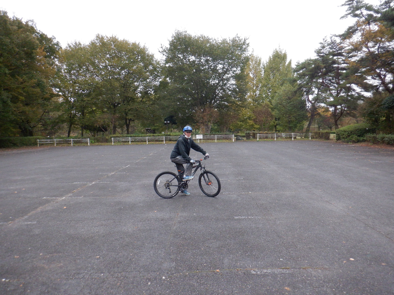 WꏊFێRWUi321-1264Ȗ،s1640-22j dԂ͋̕S{쉷łǂ炩ł}T[rX܂