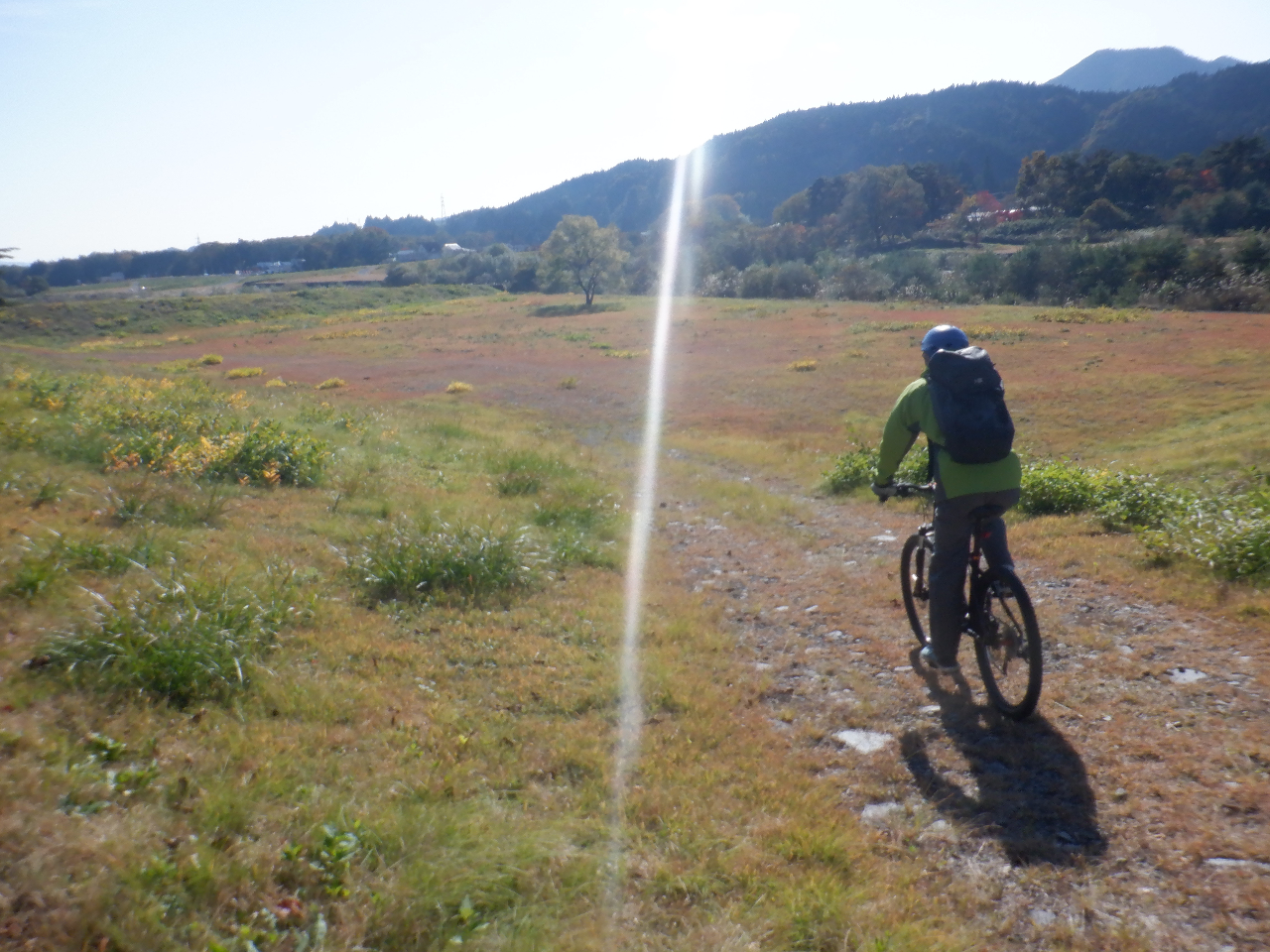 }EeoCN̑ɊꂽܑH𑖂ALIt[h𑖂܂B