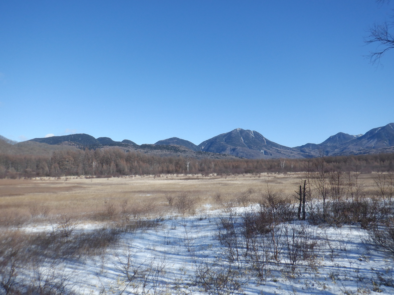 cブʂ܂BtHgX|bgŗLȁuMwlv܂