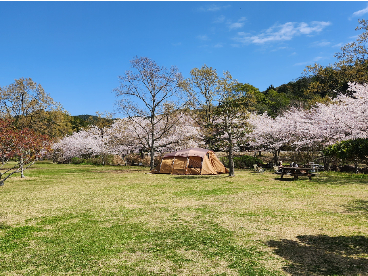四季折々の景色の中で、ゆっくりとおくつろぎいただけます。