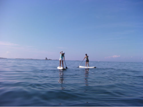 新品　Roc スタンドアップパドル 新品Roc スタンドアップパドル