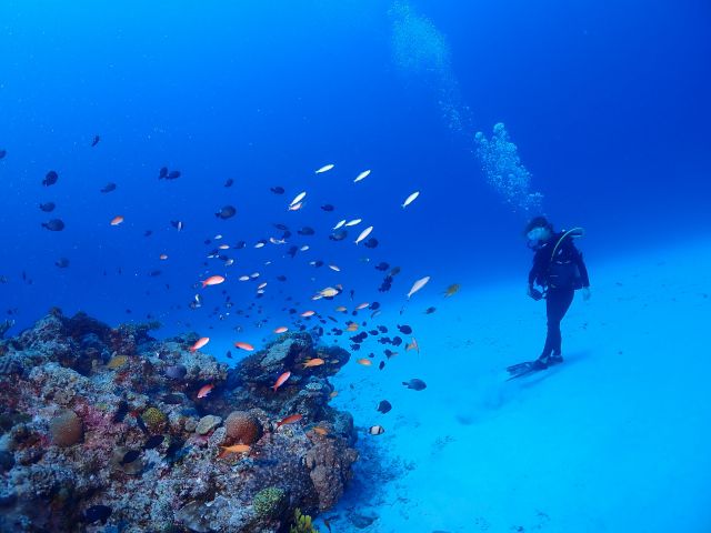 熱帯魚とのコラボ写真撮りましょう!
