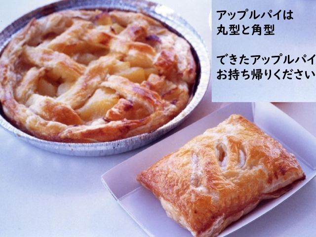 アップルパイ作り体験とりんご狩り 爽快天竜舟下りのお得なセットプラン 天竜舟下り じゃらん遊び体験 アップルパイ作り体験とりんご狩り 爽快天竜舟下りのお得なセットプラン 天竜舟下り じゃらん遊び体験
