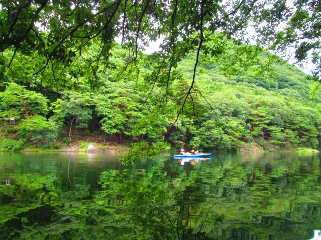 水に映った緑がキレイ〜