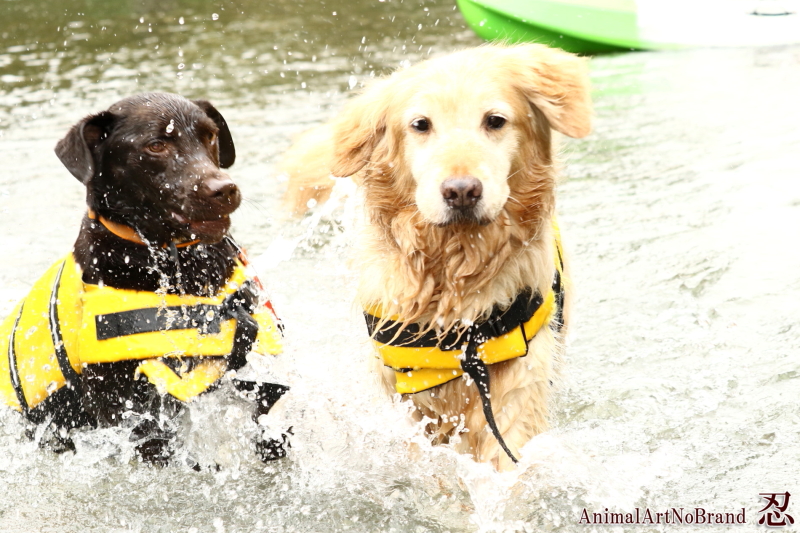 Jk[ɏ邾ȂAVтłႢ܂