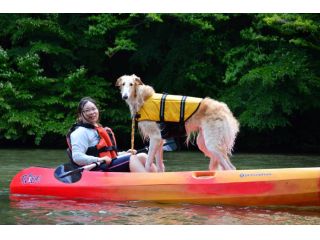 大きなわんちゃんも一緒に乗れますよ♪