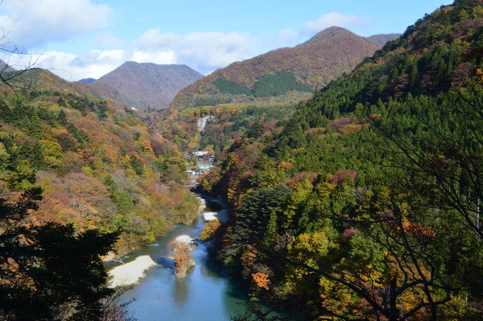 ���_���΂̓v���C�x�[�g��Ԃł��E�E�E�J�k�[�c�A�[�ɎQ�����Ȃ��Ɠ���Ȃ��ꏊ�ł�