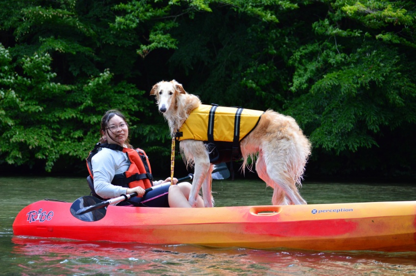 �傫�Ȃ�񂿂����ꏏ�ɏ��܂����