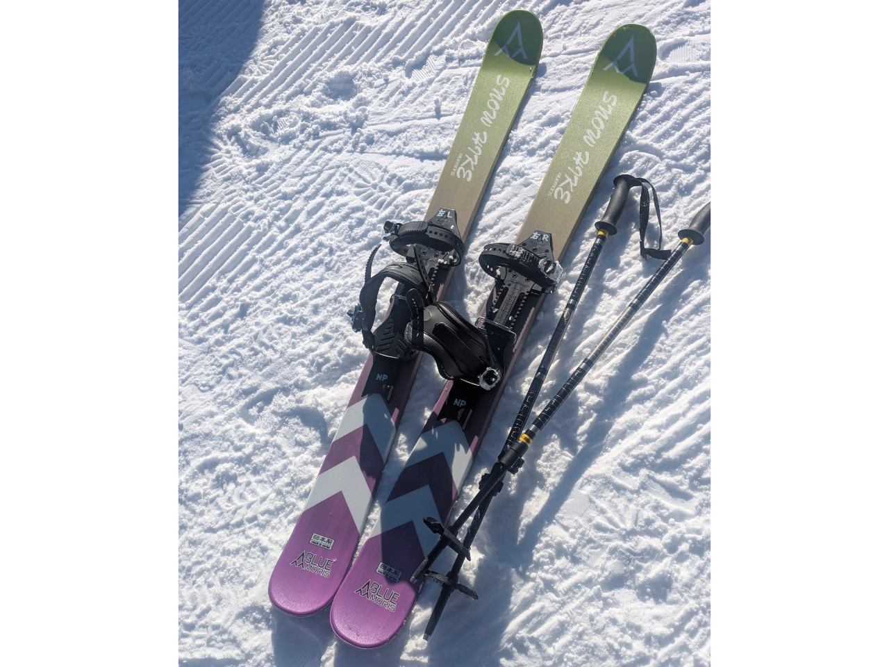 �X�m�[�n�C�N�{��