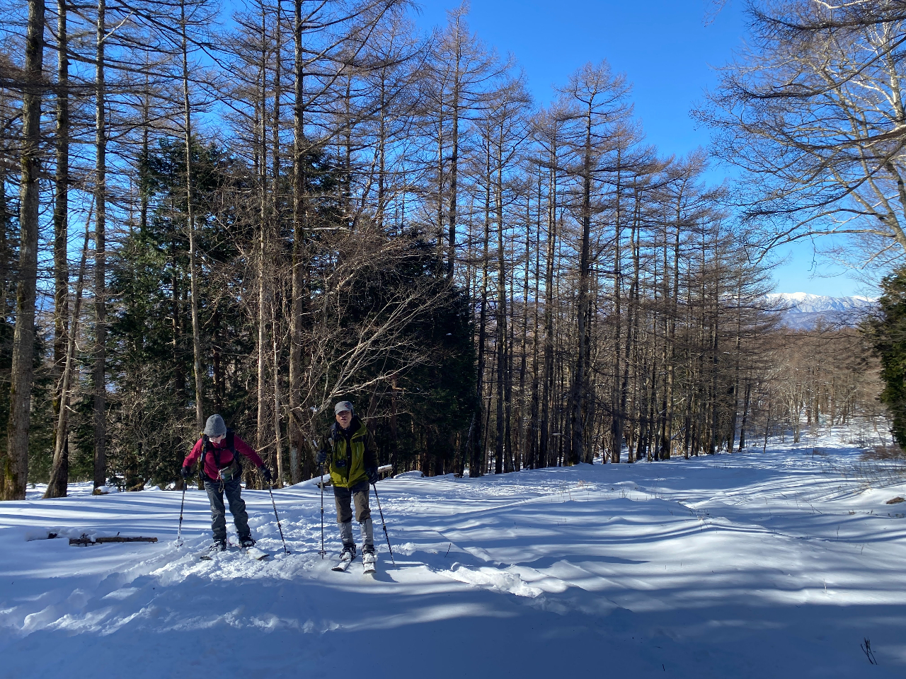 �n�C�N�A�b�v�̗l�q