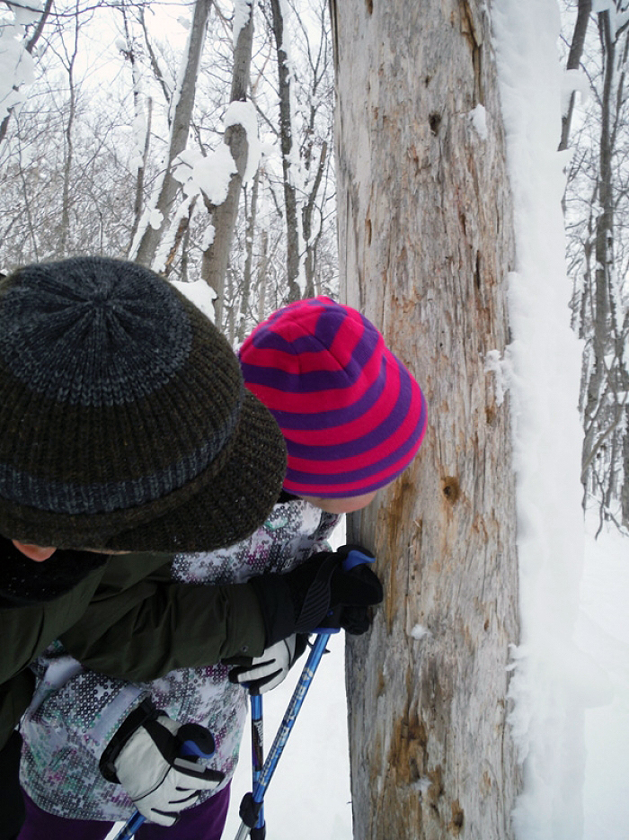 rR̐X͋ɖĂ܂BLccL̂ώ@