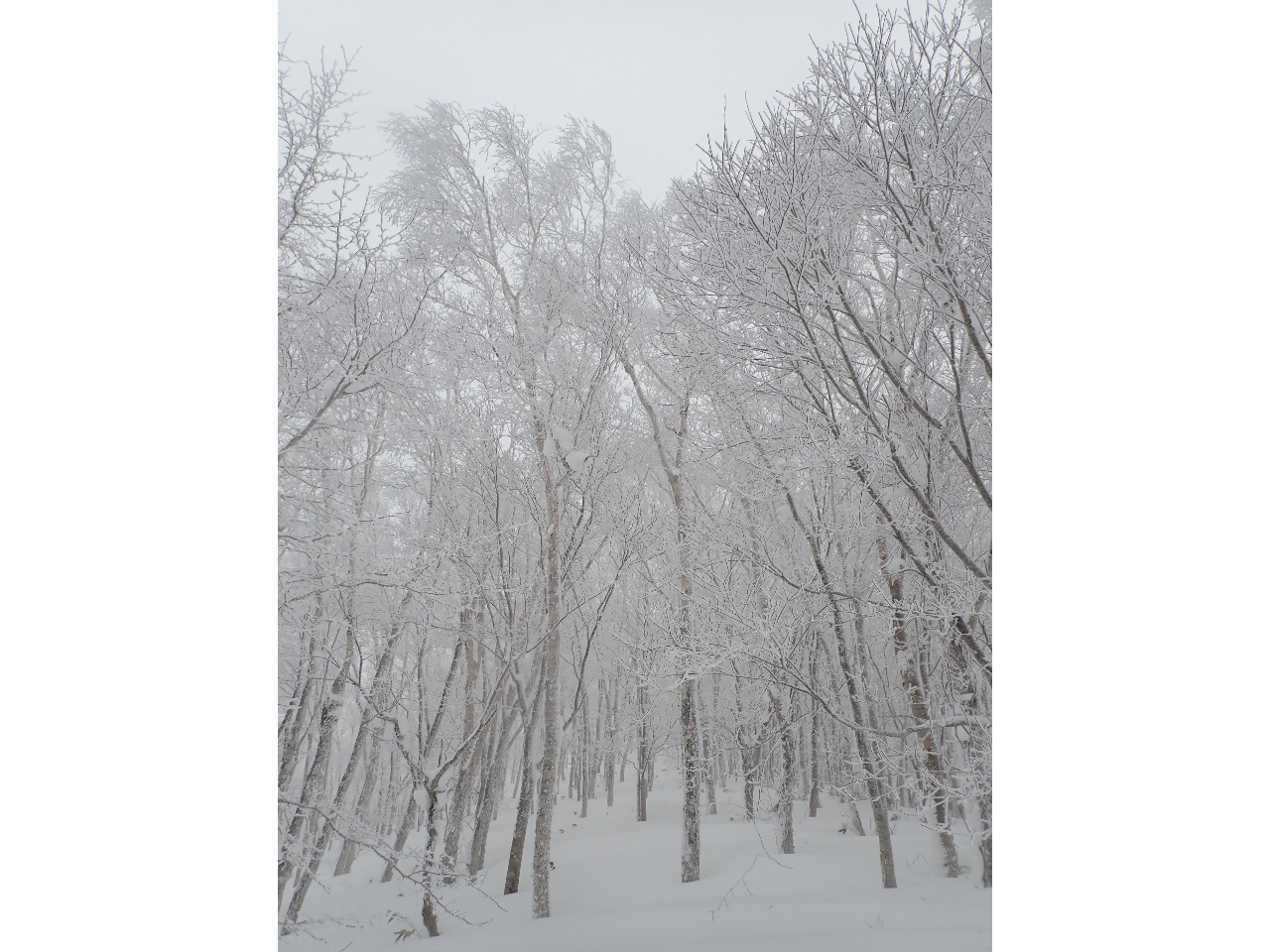 ��̐X�͂��ꂢ