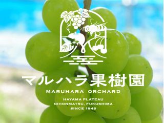旬のぶどうを堪能してください!