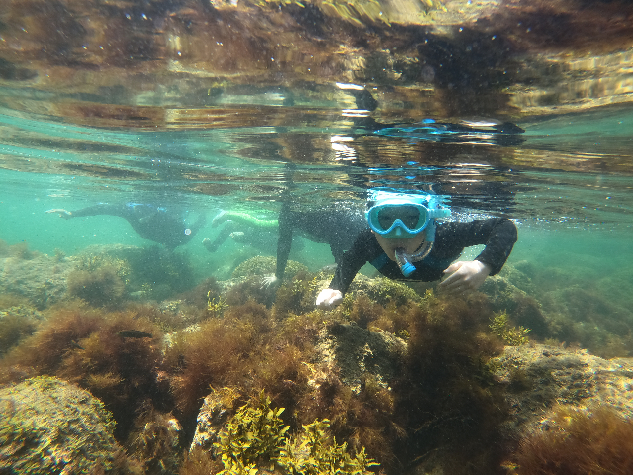 xǂɂƁAC̒͂܂Ő񂾐̂悤I咪̊iłԑт̂ƁjIXXI