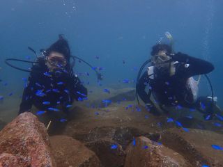 キレイな真っ青のお魚と一緒に