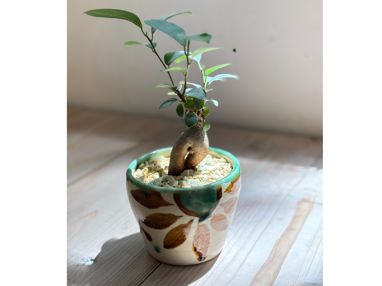 ♦民藝 琉球焼 緑釉流し掛け 箆彫り 草花文 水注 ポット 沖縄 やちむん骨董品 ♢民藝 琉球焼 緑釉流し掛け 箆彫り 草花文 水注 ポット