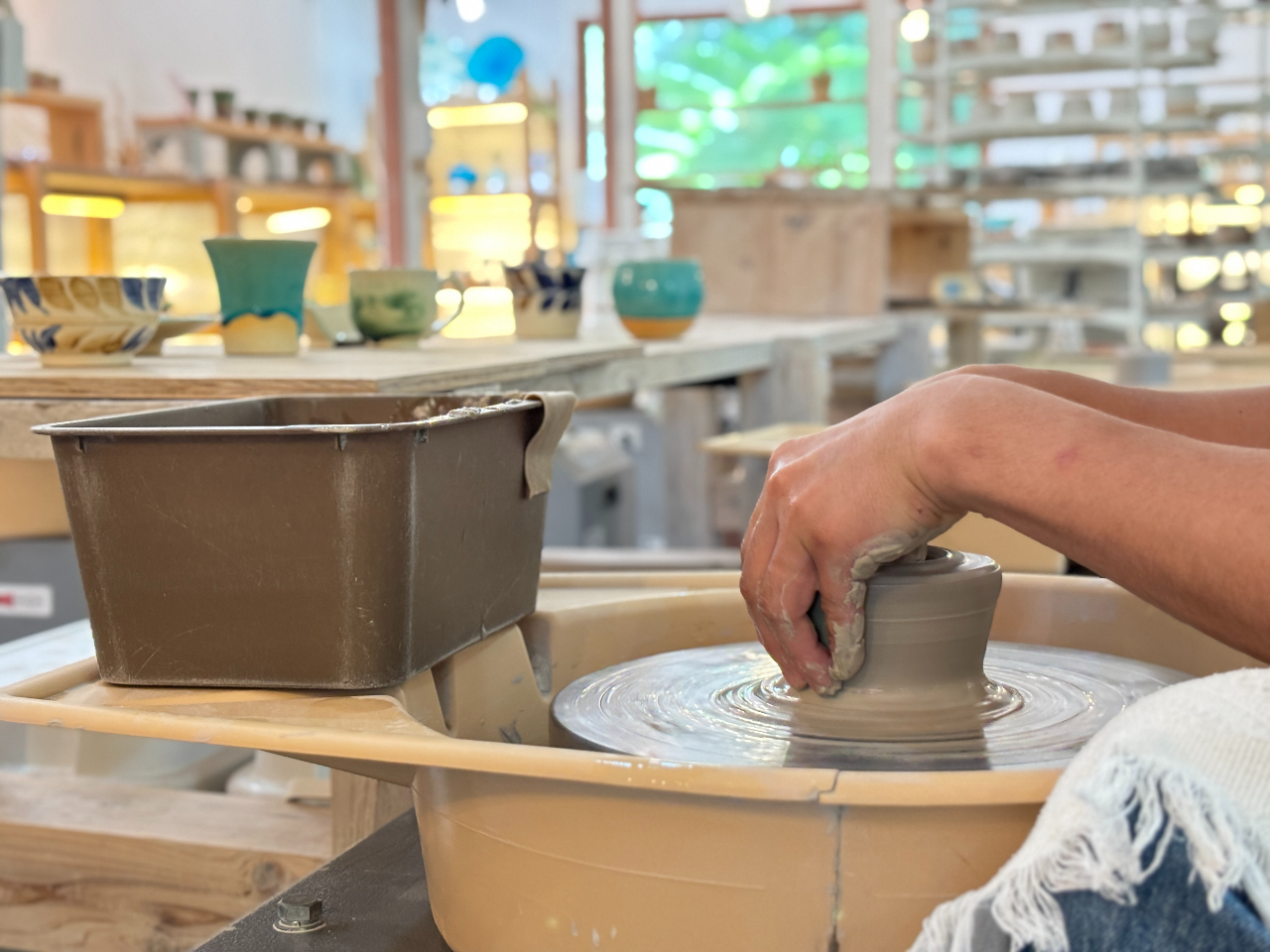 ₿ނSy͍ĐSygCeASDG ̕iƓVRr[`̔g̉Ɉ͂܂A 肵C ₿ނ̌I