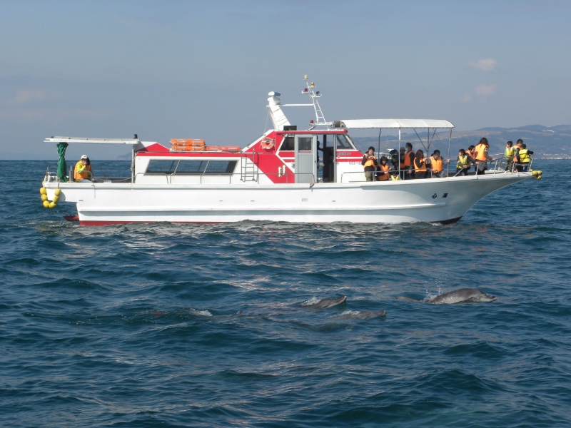 観光船「海心」で潮風が気持ちいい約60分のクルーズです。