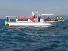 観光船「海心」で潮風が気持ちいい約60分のクルーズです。