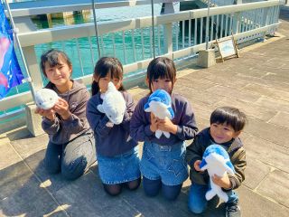 お子様に大人気のイルカぬいぐるみ♪これから、いつでも一緒だよ☆彡