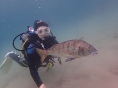 お魚を間近で観察できます!