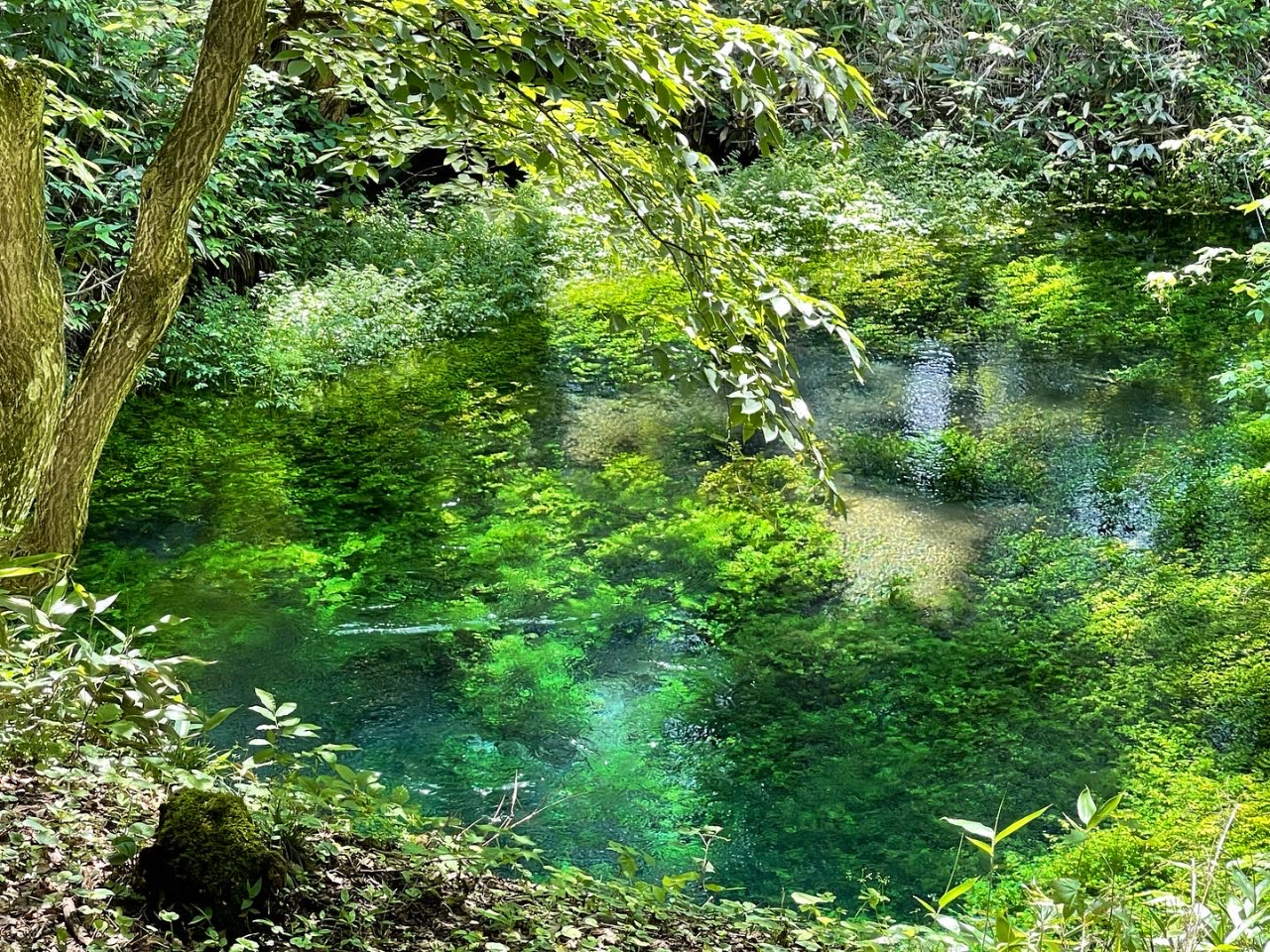 {SĨp[X|bgE򐴐ŃN[O_E