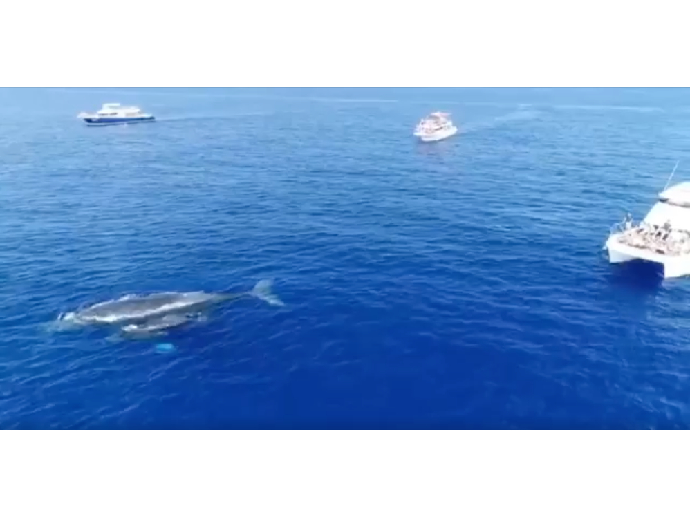 h[̐eqNWNfGȃNWBɉ܂悤Ɂ