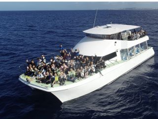 臨場感あふれる距離!お客様には安全の為、皆様にライフジャケットをご用意してます。※2023年度より圧迫感の少ない腰巻タイプに変更いたしました!