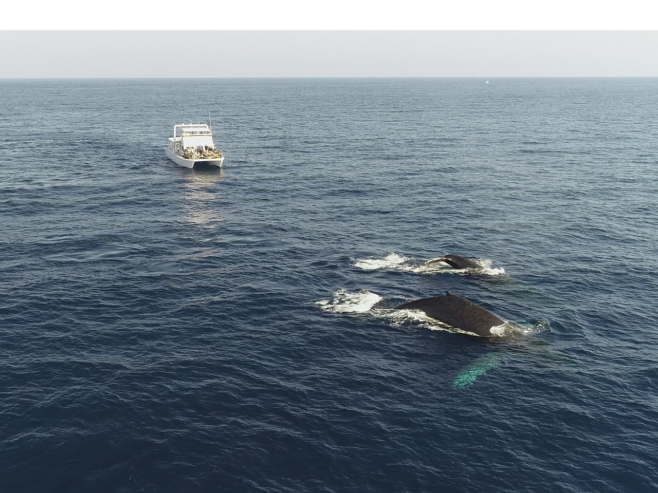 ̎Ȃł͂̐eqNWɈɂ܂傤I