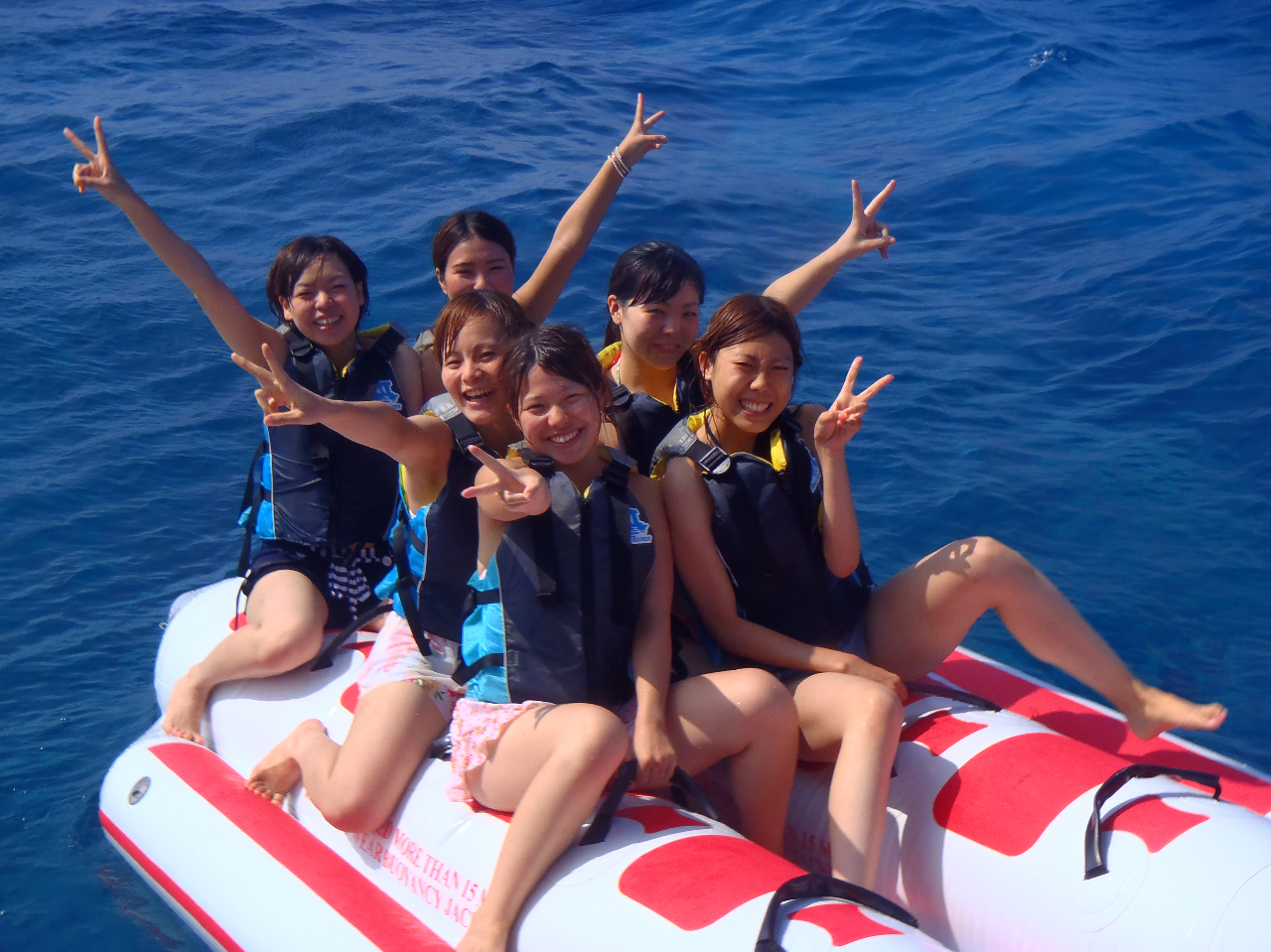 �̌��_�C�r���O�A�V���m�[�P���������ᕨ����ȁ[�[��w!�@�I�v�V�����ŎQ��OK�ȃo�i�i�{�[�g�͈������n�u���A�N�e�B�r�e�B�I���ɂ����낢���葵���Ă܂���