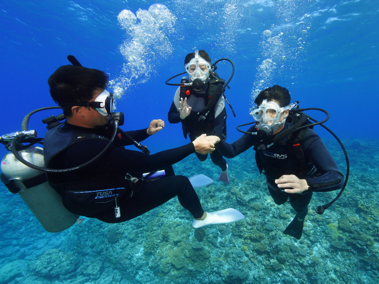 �����x�o�c�O���̃P���}�u���[�̊C�ŗV�ڂ��I