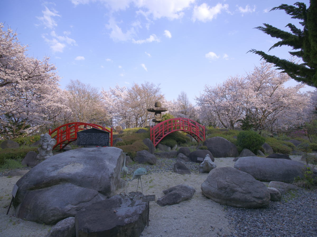 春は桜が満開!桜の絶景を独占できちゃうお花見温泉