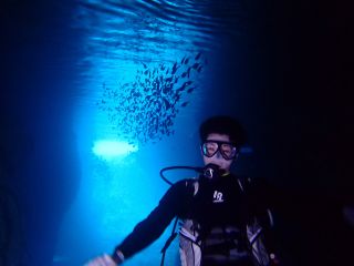 青の洞窟ダイビング!!