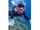 【DIVEきよら】のダイビングは、泳げる方は、自由に泳いでいただけるコースです。