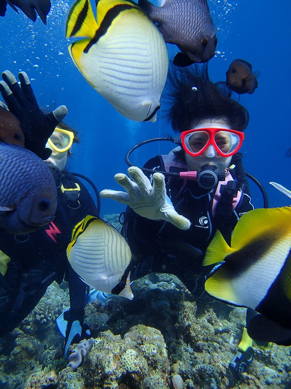 沢山の魚へ 餌付け体験も無料です!!