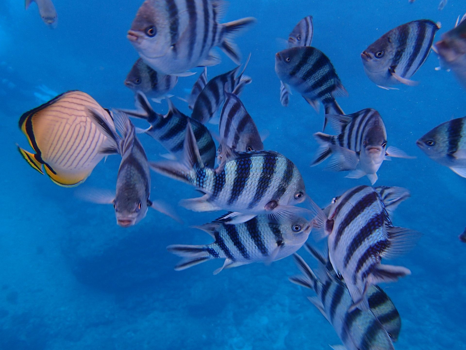 R̃NZXY_CII@Ă@Irb`܂II@YV[悭