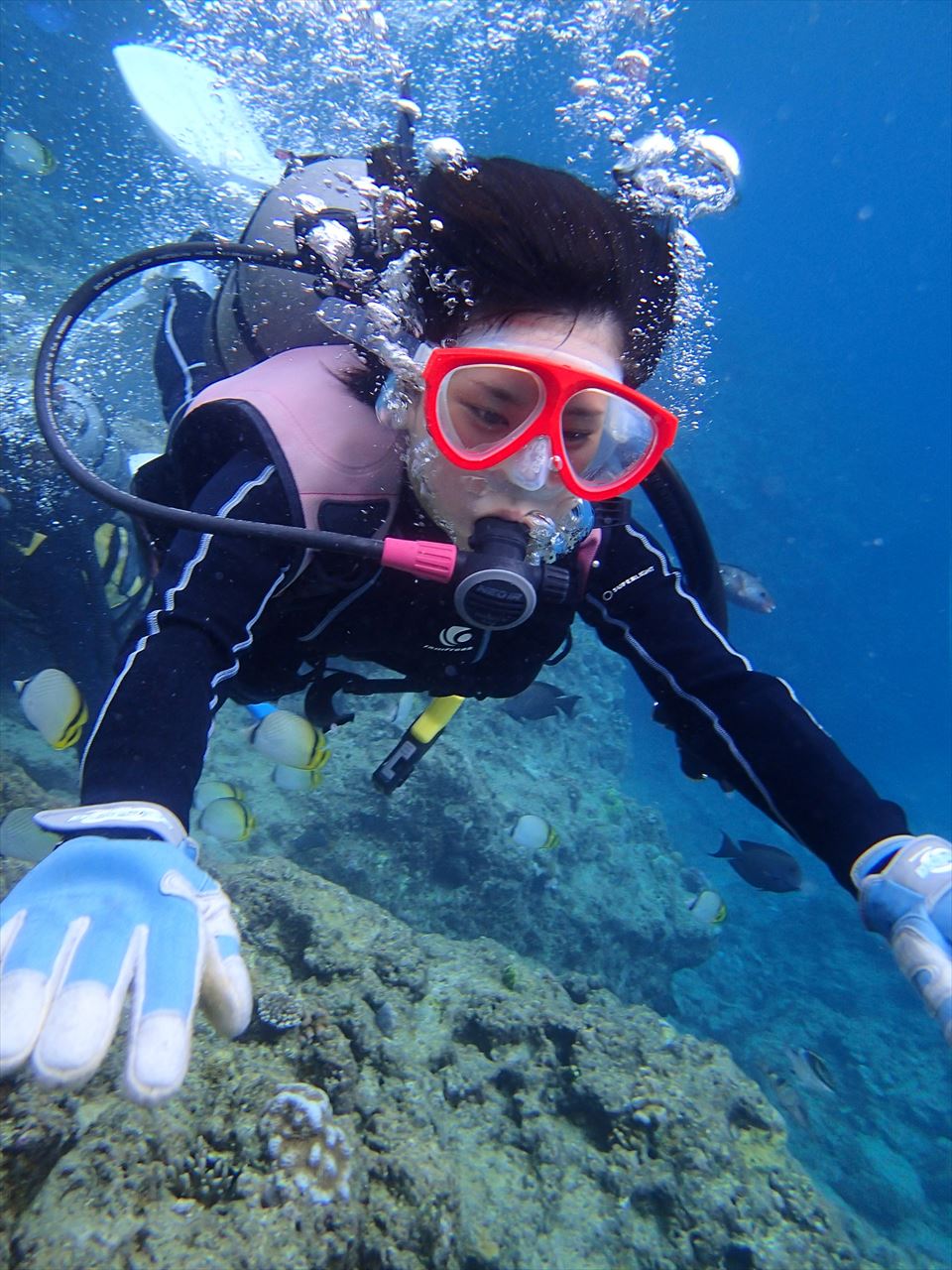 �yDIVE�����z�̃_�C�r���O�́A�j������́A���R�ɉj���ł���������R�[�X�ł��B