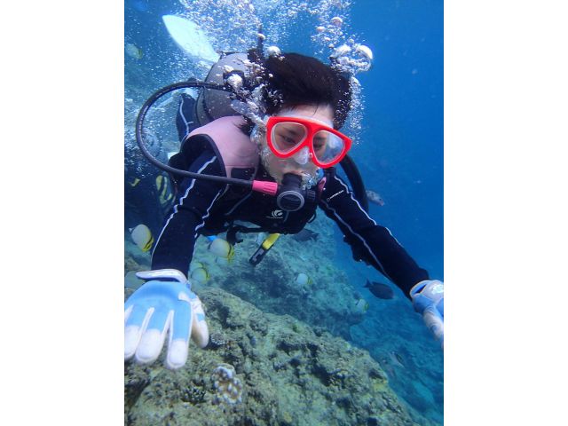 【DIVEきよら】のダイビングは、泳げる方は、自由に泳いでいただけるコースです。