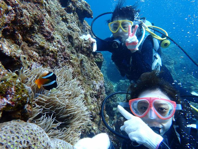 水中写真無料です!!