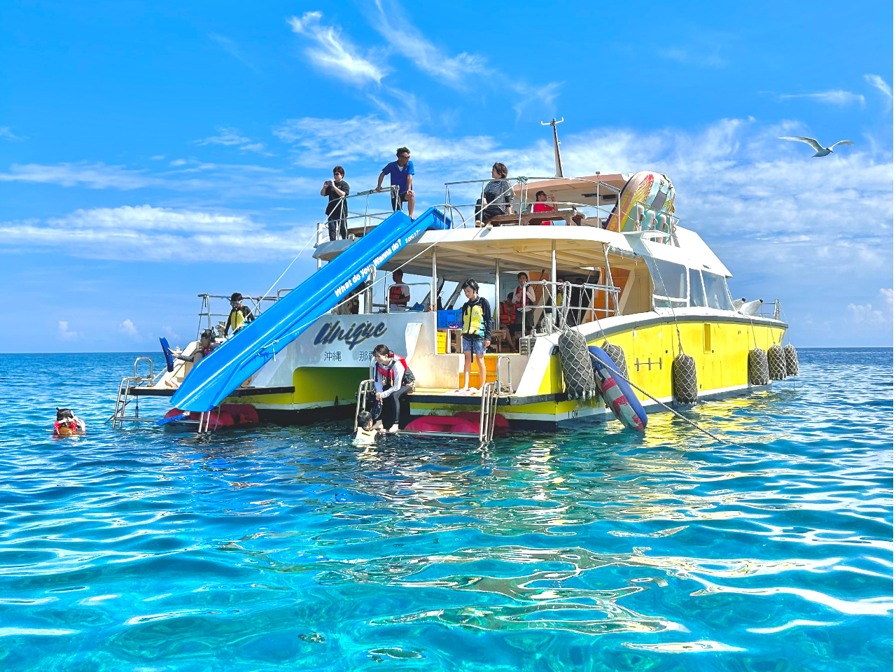 AWvACuRŕIIBꖳ̃IWiN[U[IƊEő95́yj[Nz͗Vт̖Lxł