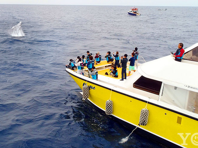 �����Ȃ��q�l���Q���ł��܂��I�I