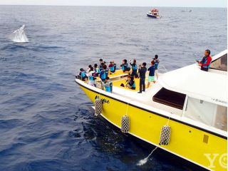 小さなお子様も参加できます!!