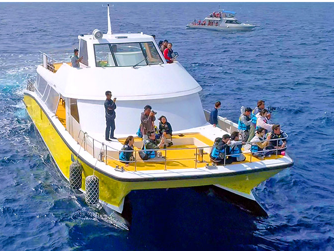 �����u���[�`�I�I ��^�N���[�U�[�ŉ��K�z�G�[���E�I�b�`���O��