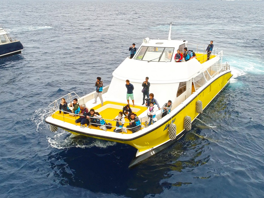 ��^�N���[�U�[�ŉ��K�z�G�[���I�I