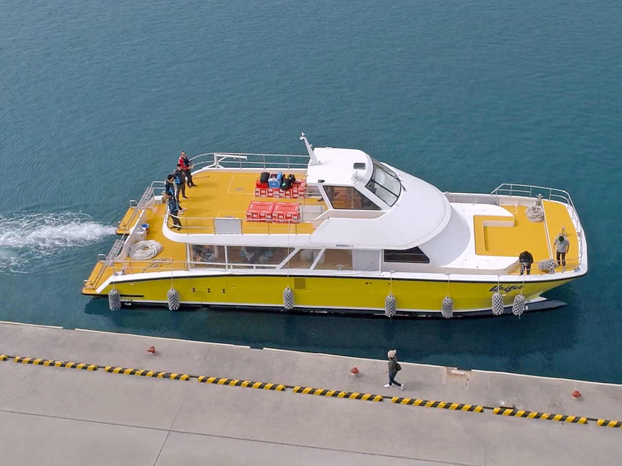 �Q�O�P�V�x�A�q�̑�^�N���[�U�[�A���j�[�N���ł��ē����܂���